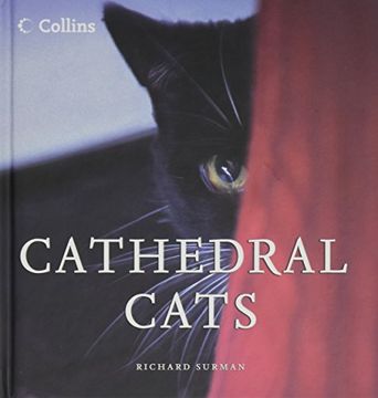 portada Xcathedral Cats Mini ed bks (en Inglés)