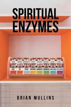 portada Spiritual Enzymes (in English)