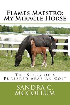 portada Flames Maestro: My Miracle Horse: The Story of a Purebred Arabian Colt (en Inglés)