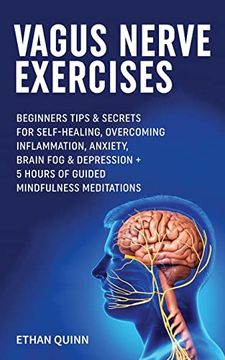 portada Vagus Nerve Exercises: Beginner Tips & Secrets for Self-Healing, Overcoming Inflammation, Anxiety, Brain fog & Depression + 5 Hours of Guided Mindfulness Meditations (in English)