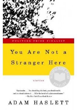 portada You are not a Stranger Here: Stories 