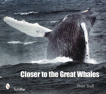 portada Closer to the Great Whales (in English)