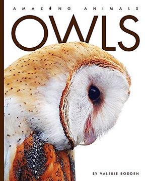 portada Owls (Amazing Animals) 