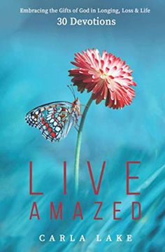 portada Live Amazed: Embracing the Gifts of god in Longing, Loss, and Life (en Inglés)