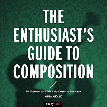 portada The Enthusiast's Guide to Composition: 48 Photographic Principles You Need to Know (in English)