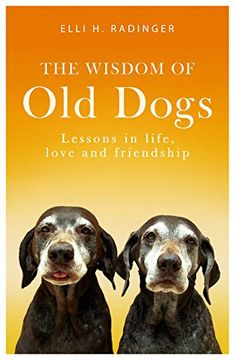 portada The Wisdom of old Dogs: Lessons in Life, Love and Friendship 