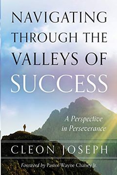 portada Navigating Through the Valleys of Success: A Perspective in Perseverance (en Inglés)