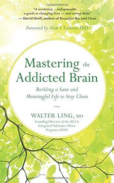 portada Mastering the Addicted Brain: Building a Sane and Meaningful Life to Stay Clean (en Inglés)