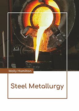 portada Steel Metallurgy (en Inglés)
