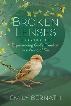 portada Broken Lenses Volume 3: Experiencing God’S Freedom in a World of sin (en Inglés)