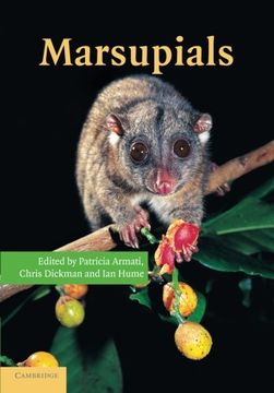 portada Marsupials (in English)