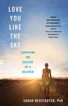 portada Love you Like the Sky: Surviving the Suicide of a Beloved (en Inglés)