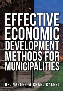 portada Effective Economic Development Methods for Municipalities (en Inglés)