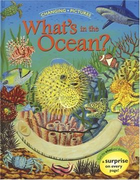 portada Changing Pictures: What's in the Ocean? (en Inglés)