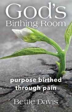 portada God's Birthing Room: Purpose Birthed Through Pain (en Inglés)