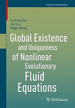 portada global wellposedness of nonlinear evolutionary fluid equations (en Inglés)