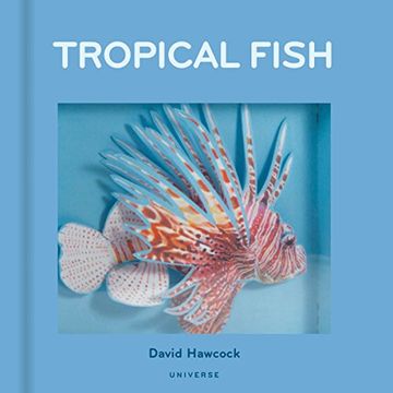 portada Tropical Fish: Pop-Up (in English)