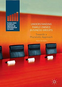 portada Understanding Family-Owned Business Groups: Towards a Pluralistic Approach (Palgrave Studies in Democracy, Innovation, and Entrepreneurship for Growth)