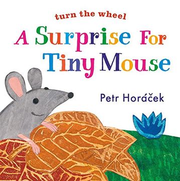 portada A Surprise for Tiny Mouse (en Inglés)