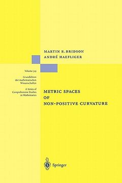 portada metric spaces of non-positive curvature