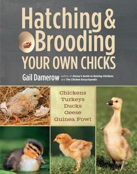 portada hatching & brooding your own chicks (en Inglés)