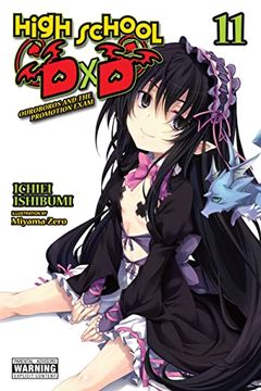 portada High School Dxd, Vol. 11 (Light Novel) (High School dxd (Light Novel)) 