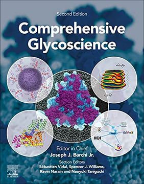 portada Comprehensive Glycoscience: From Chemistry to Systems Biology (en Inglés)