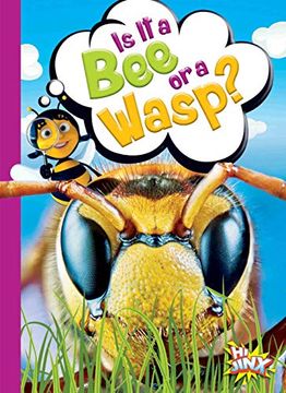 portada Is It a Bee or a Wasp? (en Inglés)