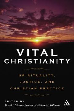 portada vital christianity: spirituality, justice, and christian practice (en Inglés)