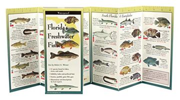 portada florida freshwater fishes