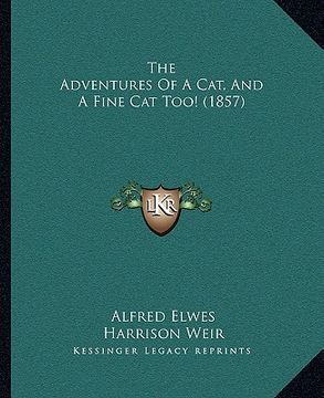 portada the adventures of a cat, and a fine cat too! (1857) (en Inglés)