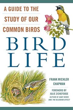 portada Bird Life: A Guide to the Study of Our Common Birds