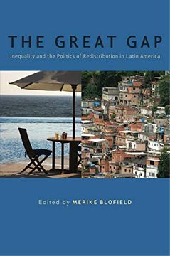 portada The Great Gap: Inequality and the Politics of Redistribution in Latin America (en Inglés)