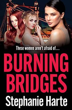 portada Burning Bridges: An Absolutely Unputdownable and Gripping Crime Thriller! (en Inglés)