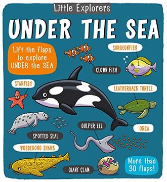 portada Little Explorers: Under the Sea (en Inglés)
