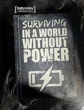 portada Surviving in a World Without Power (Surviving the Impossible)