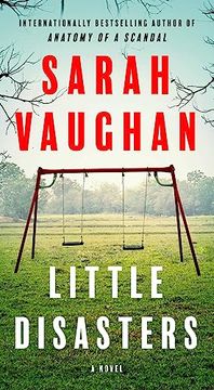 portada Little Disasters: A Novel (in English)