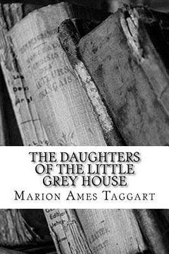 portada The Daughters of the Little Grey House (in English)