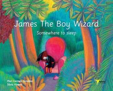 portada James The Boy Wizard: Somewhere to sleep (en Inglés)