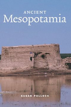 portada Ancient Mesopotamia Hardback (Case Studies in Early Societies) (en Inglés)