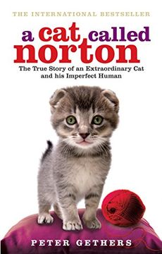 portada a cat called norton: the true story of an extraordinary cat and his imperfect human (in English)