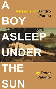 portada A boy Asleep Under the Sun: Versions of Sandro Penna (in English)