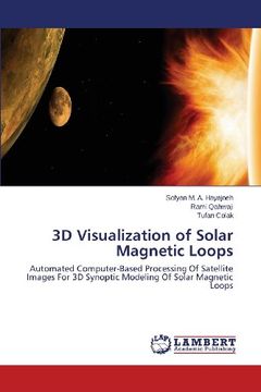 portada 3D Visualization of Solar Magnetic Loops