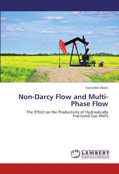 portada non-darcy flow and multi-phase flow (en Inglés)