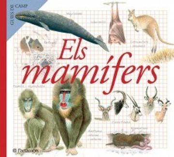 portada mamifers (guies de camp)