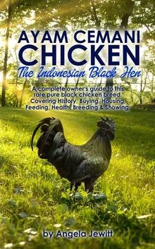 portada Ayam Cemani Chicken - The Indonesian Black Hen. A complete owner's guide to this rare pure black chicken breed. Covering History, Buying, Housing, Feeding, Health, Breeding & Showing. (en Inglés)