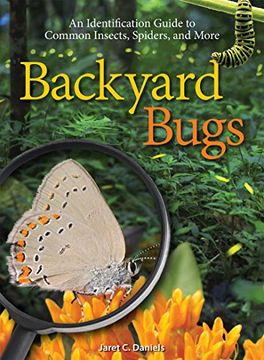 portada Backyard Bugs: An Identification Guide to Common Insects, Spiders, and More (in English)