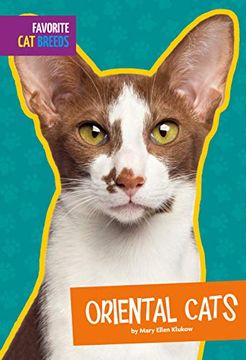 portada Oriental Cats (en Inglés)
