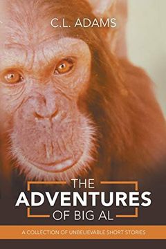 portada The Adventures of big al: A Collection of Unbelievable Short Stories (en Inglés)