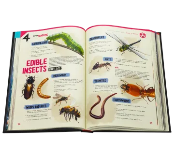 Off Protocol The 4: Illustrated Survival Guide to 4 Apocalypses, Pandemic, Zombie, Nuclear Winter, Global Warming, 400+ Pages, Hand-Drawn Tips